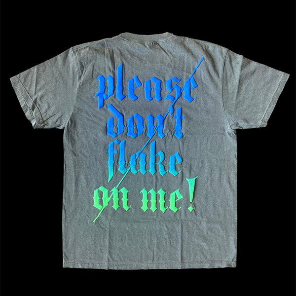PLEASE DON'T FLAKE ON ME TEE (BLUE/GREEN)